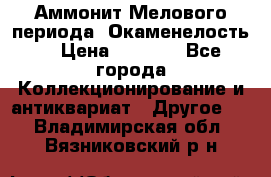 Аммонит Мелового периода. Окаменелость. › Цена ­ 2 800 - Все города Коллекционирование и антиквариат » Другое   . Владимирская обл.,Вязниковский р-н